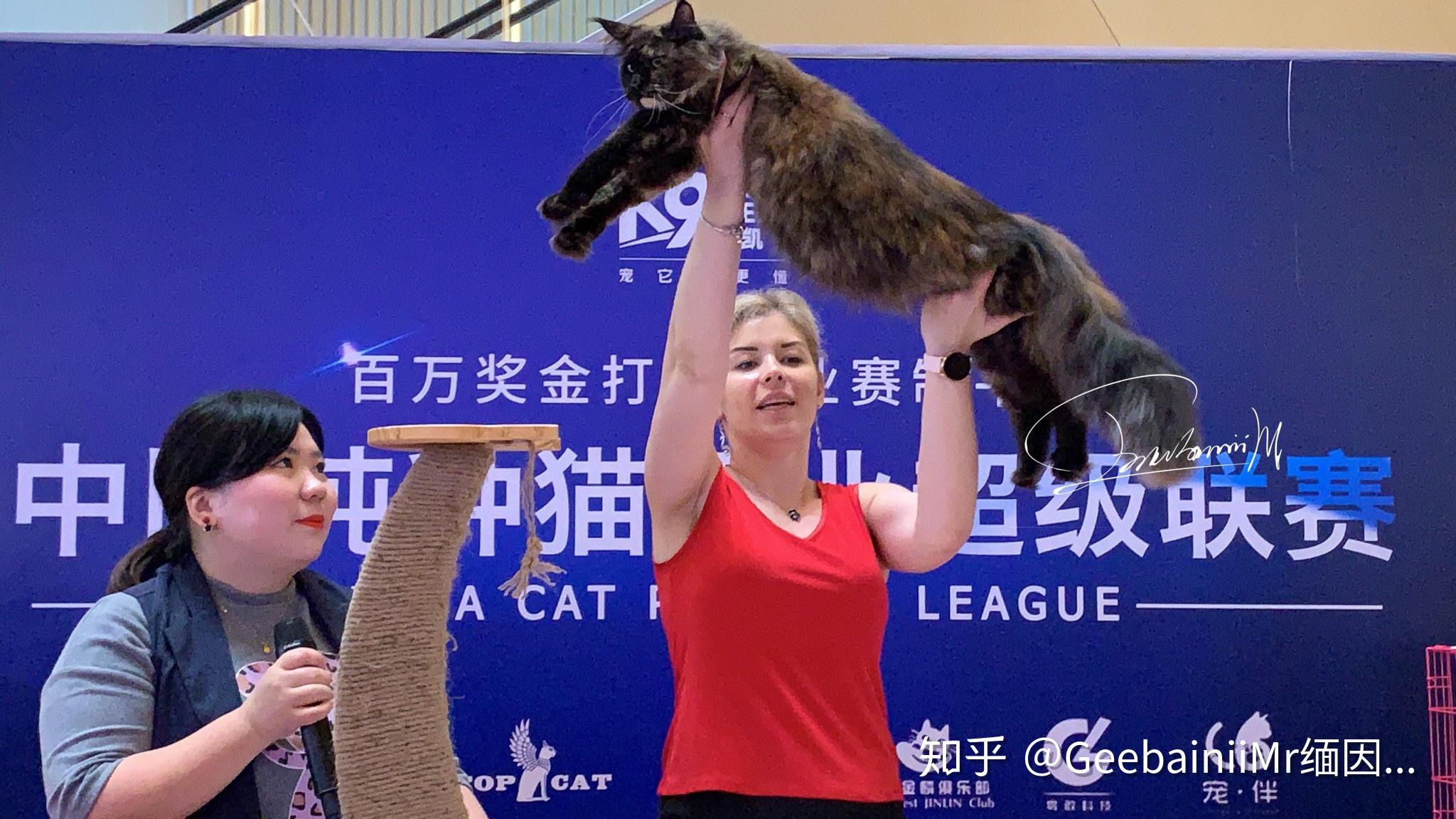 全球宝贝对战大赛：百万奖金等你来夺！